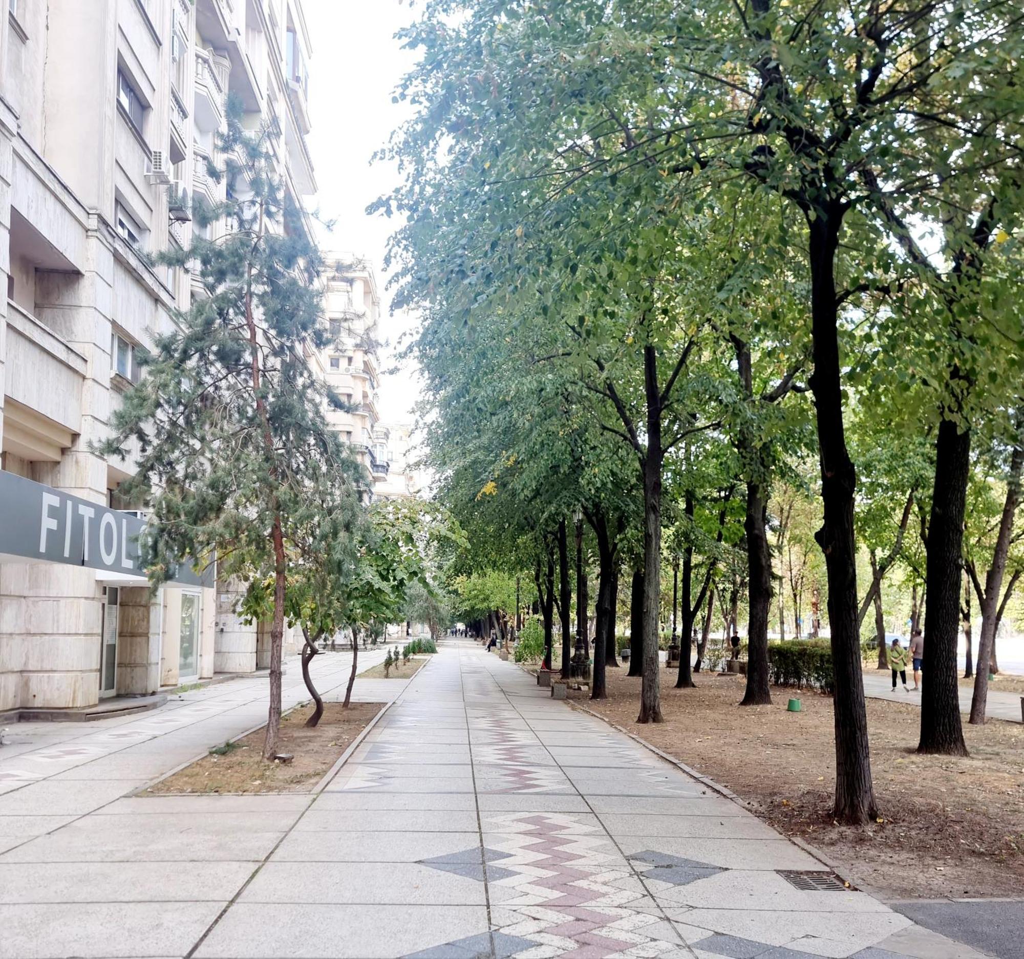 Tranquil Unirii Residence - Elegant & Spacious Living With Parking Steps From Parliament Bukareszt Zewnętrze zdjęcie