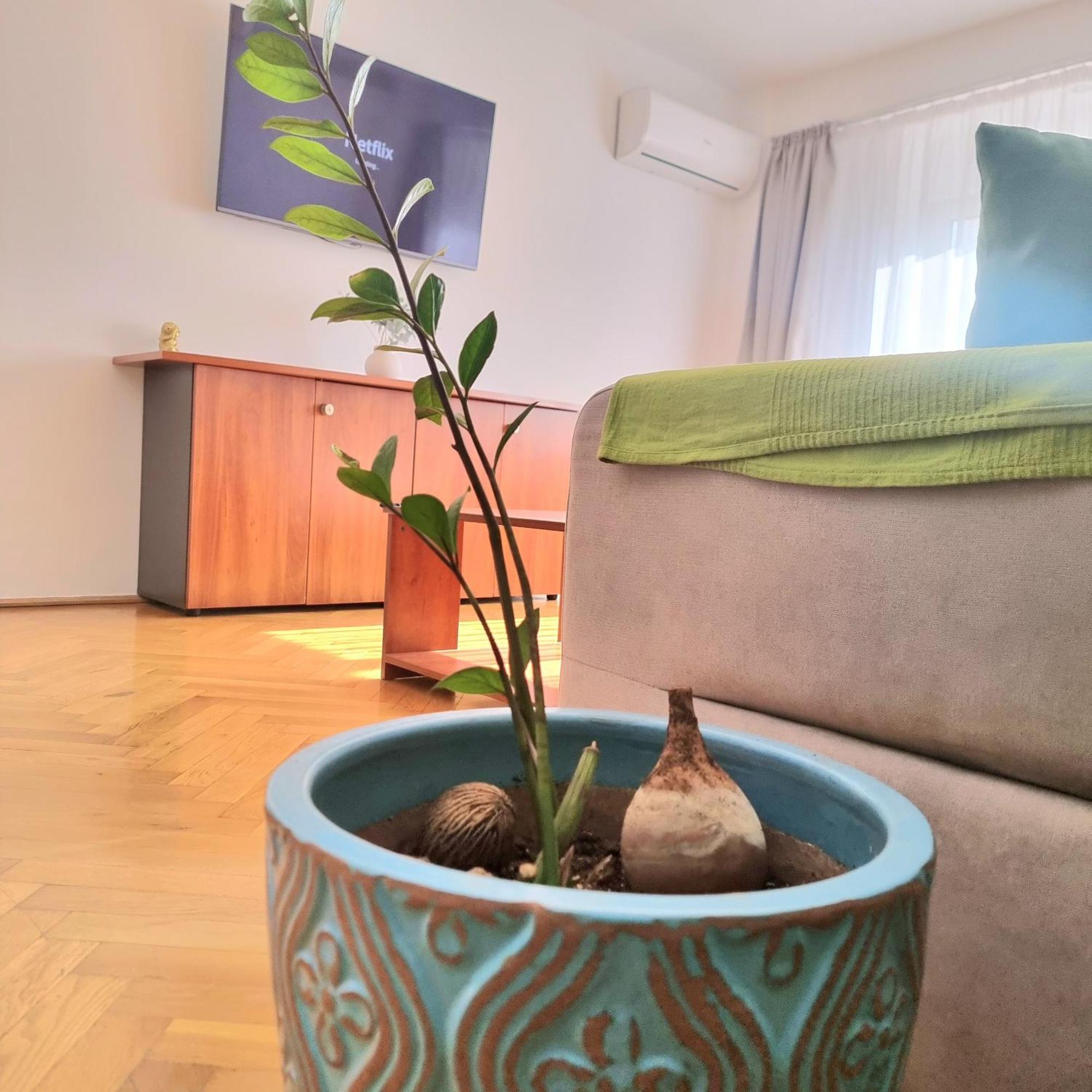 Tranquil Unirii Residence - Elegant & Spacious Living With Parking Steps From Parliament Bukareszt Zewnętrze zdjęcie